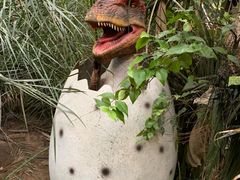 -呀路古热带植物园