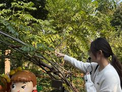 -广州神农草堂中医药博物馆