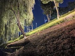 -郑远元专业修脚房(宣化路店)