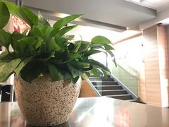 -麦当劳(国际社区店)
