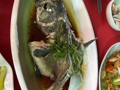 -五谷芳乳鸽王(海景店)