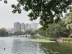 -荔湾湖公园