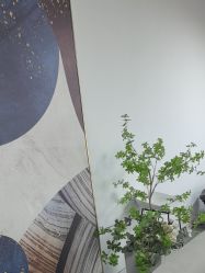 -AM半永久纹眉