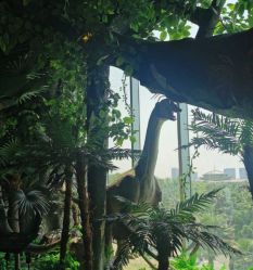 -恐龙探索乐园(磁器口店)