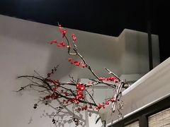 -春天来了(印象新天地店)