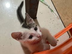 -红卫粉丝煲(艮塔东路店)