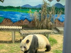 -苏州太湖国家湿地公园