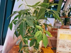 -Jazz·ya 爵士屋(来福士店)