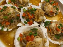 扇贝-大鸭梨烤鸭店(金顶街店)