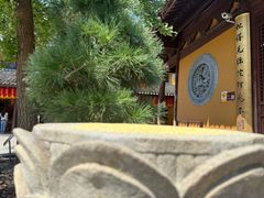 -龙华素斋(龙华路店)