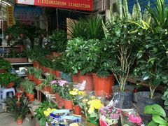 -南汇花鸟市场(上海浦东新花卉店)