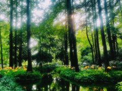 -杭州植物园