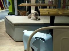 -小时光咖啡馆(开森度假森林店)