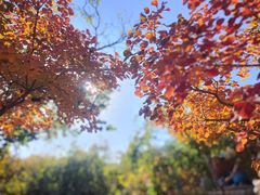 -周口店坡峰岭风景区
