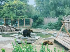 -成都动物园