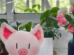 -浦江城市生活广场(江月路店)