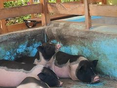 -华谊兄弟（长沙）电影小镇