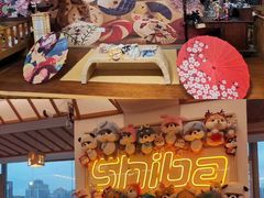 -豆柴町-柴犬主题狗咖(红鼎国际C座店)