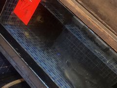 -粤香楼(新光里店)