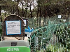 -盈香心动乐园