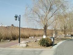-水西公园