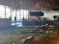 -Seesaw Coffee(朝阳大悦城店)