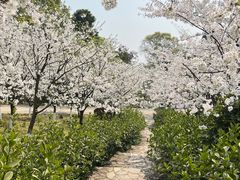 -南山植物园