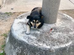 -白水寺森林公园