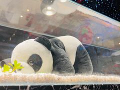 -红辣椒·川菜·火锅(大洋中心店)