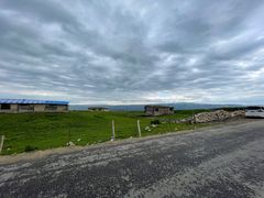 -马白开来特色羊排揪片子  (总店)