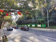 -潜山国家森林公园