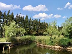 -前小桔亲子创意农场·草莓采摘·露营烧烤