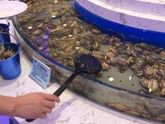 鲜活鲍鱼-澜悦港海鲜体验主题餐厅