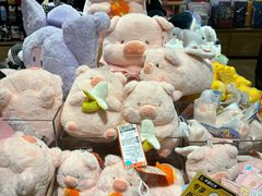 -九木杂物社(凯德晶品店)