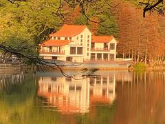 -深圳仙湖植物园