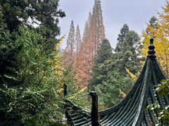 -南岳衡山风景名胜区