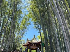 -蜀南竹海景区