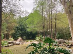 -深圳国际园林花卉博览园