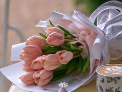 -Jo's Garden