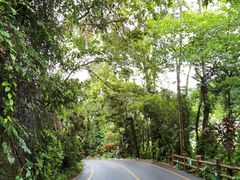 -西双版纳原始森林公园