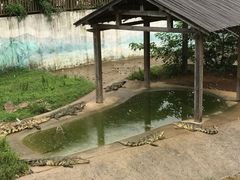 -无锡动物园·太湖欢乐园