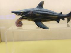 -上海中国航海博物馆