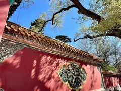 -沈阳市东陵公园