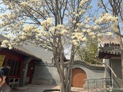 -北京石刻艺术博物馆(五塔寺)