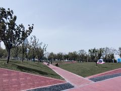 -上海山野camping·户外天幕烧烤·团建拓展营地