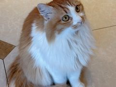 -氷冰凉刨冰甜品(北京路店)