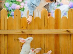 -HERRE·FARM 赫尔露营农场·团建聚会包场