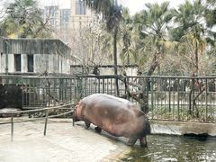-成都动物园