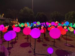 -锦江乐园舞狸花花游园会(夜场专享)