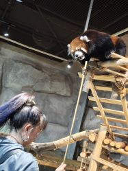 -Zoolung Zoolung动物主题公园(海信广场店)